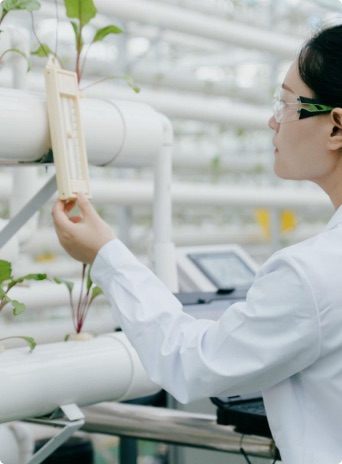 D'COEUR research and ingredients