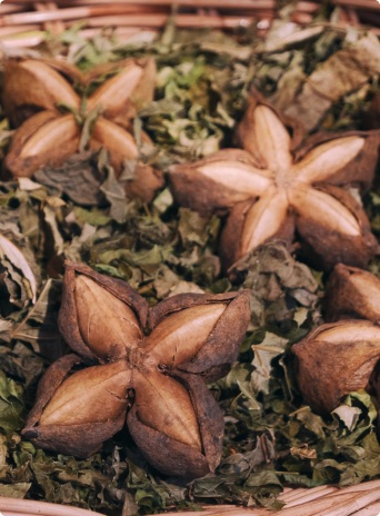 D'COEUR research and ingredients